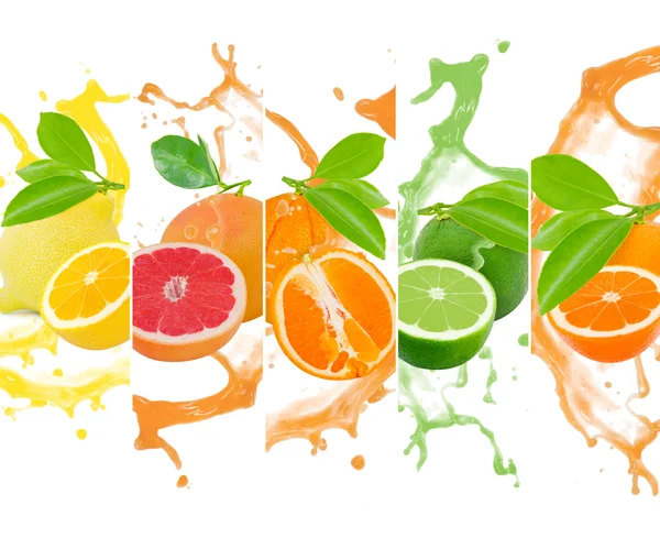 Citrus splash — Stock Photo, Image