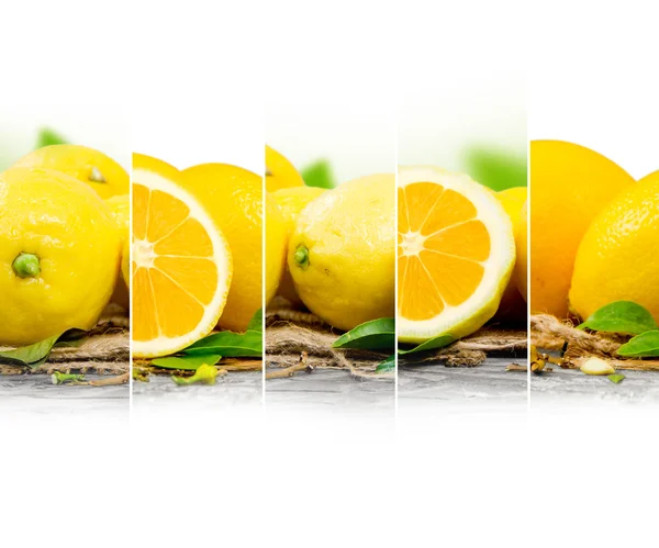 Miscela di limone — Foto Stock