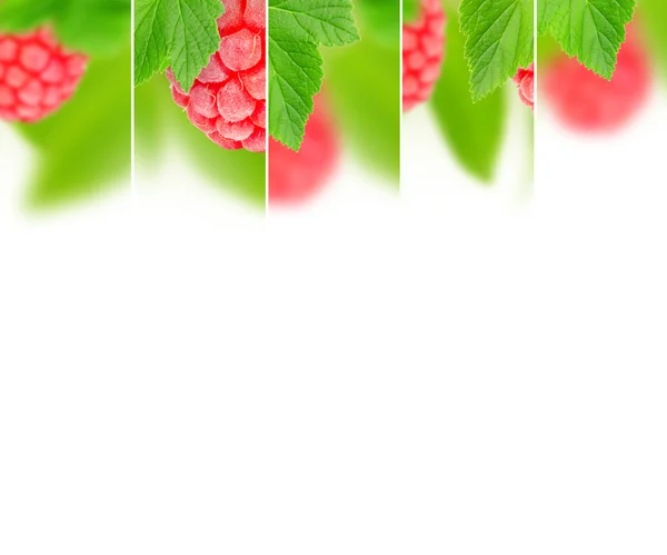 Erdbeermischung — Stockfoto