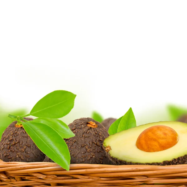 Avocado — Stockfoto