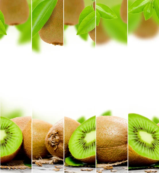 Kiwi mix — Stock Photo, Image