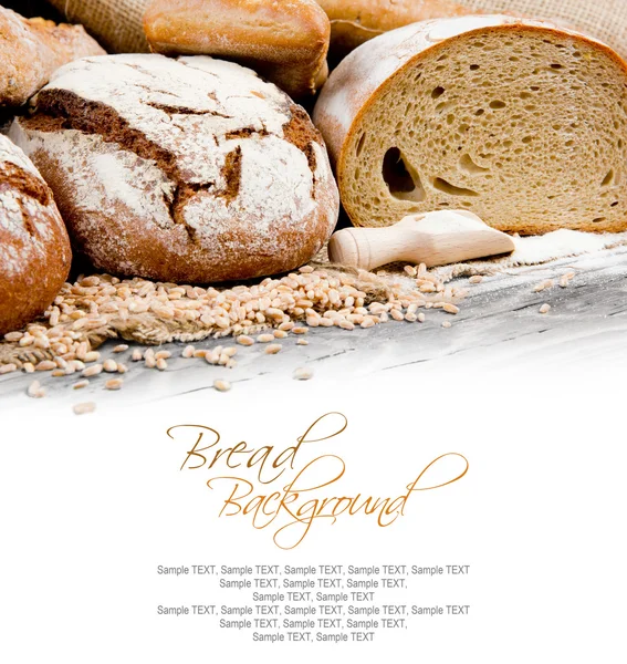 Breads — Stock fotografie