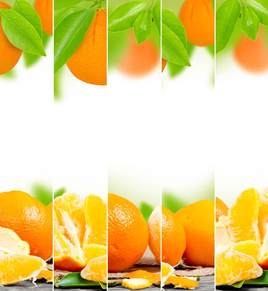 Orange mix — Stock Photo, Image