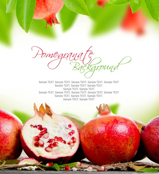 Pomegranate fruit — Stock Photo, Image