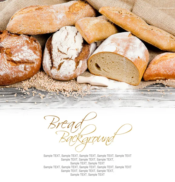 Breads — Stock fotografie