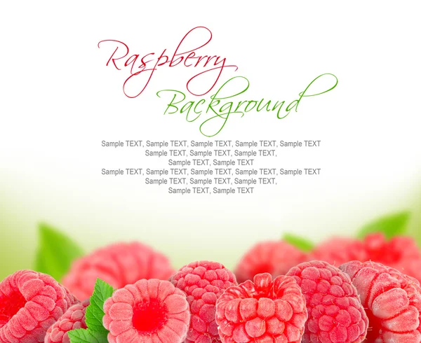 Raspberry — Stock Photo, Image