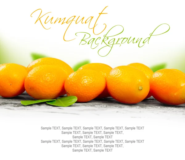 Kumquats — Stockfoto