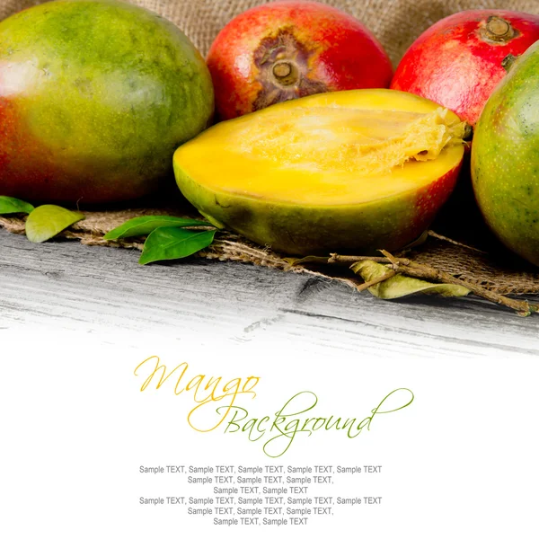 Mango frukt — Stockfoto