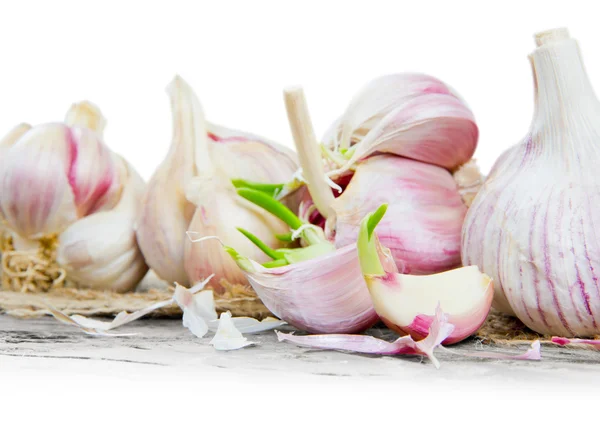 Garlic — Stock Photo, Image