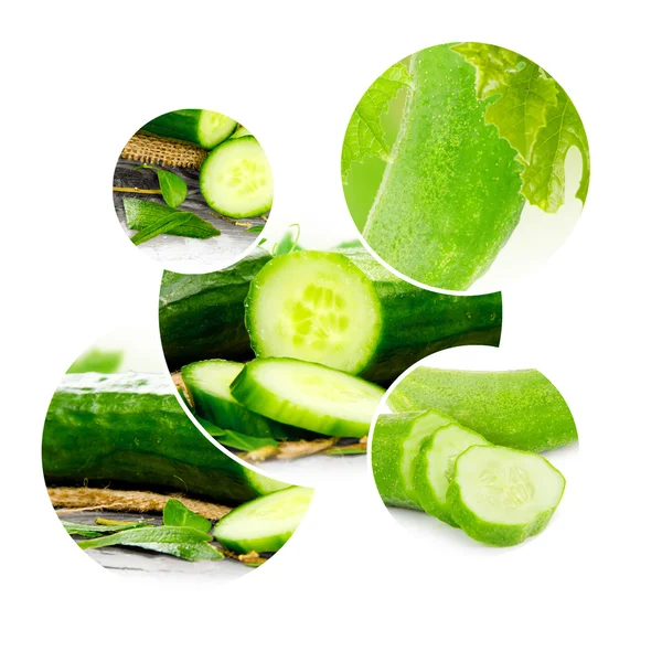 Cucumber — Stock Photo, Image