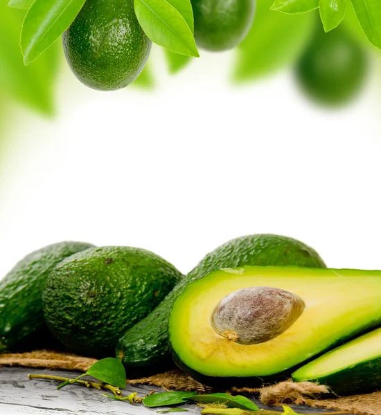 Avocado — Stockfoto