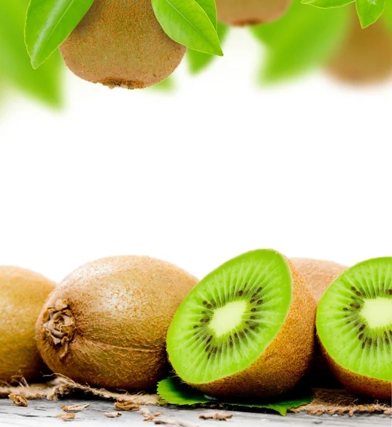 Kiwi fruit — Stock Photo, Image