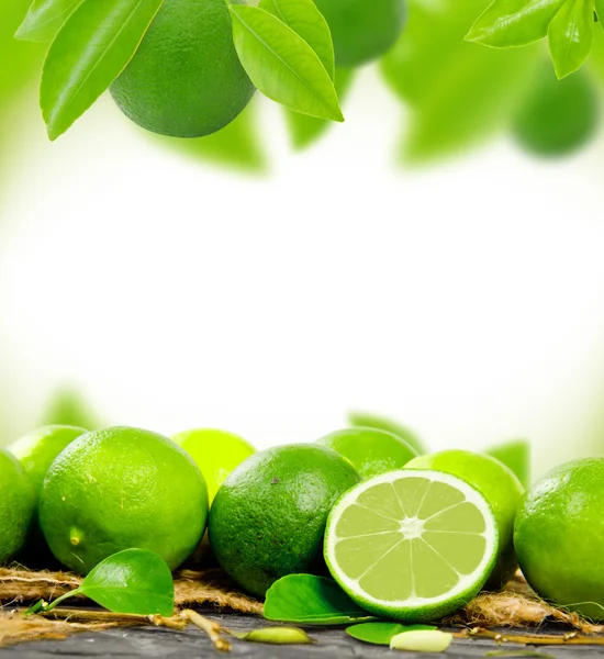 Lime fruit — Stock Photo, Image