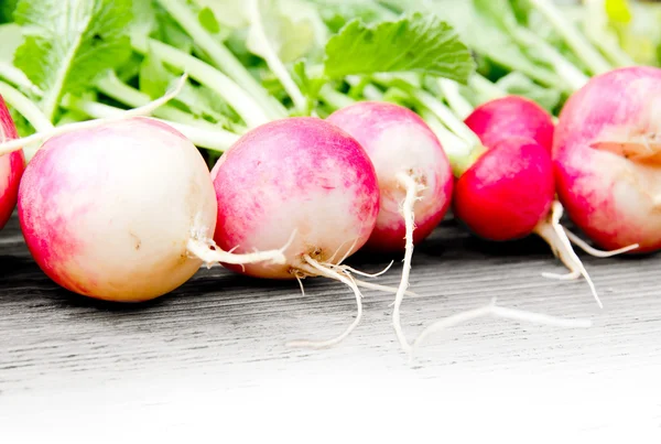 Radish — Stock Photo, Image