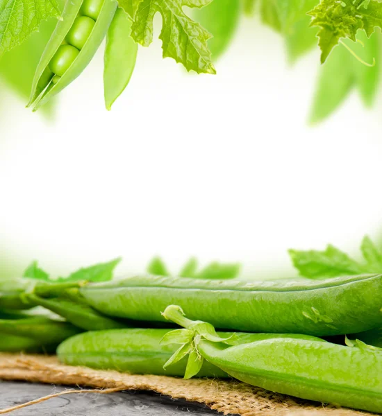 Pea pods — Stock Photo, Image