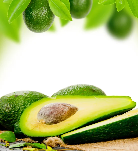 Avocado — Stock Photo, Image