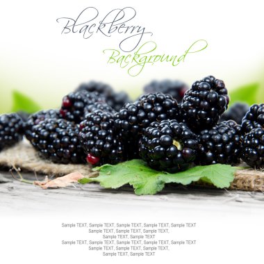 Blackberry