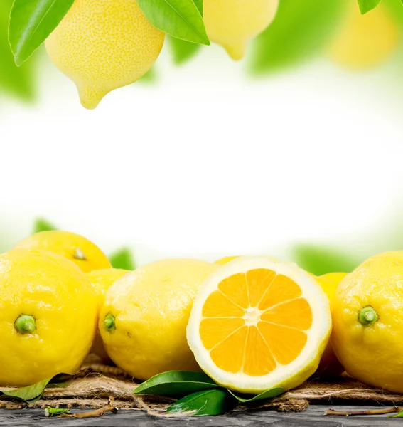 Lemons — Stock Photo, Image