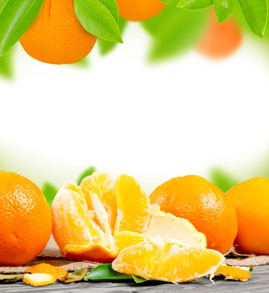 Orangen — Stockfoto