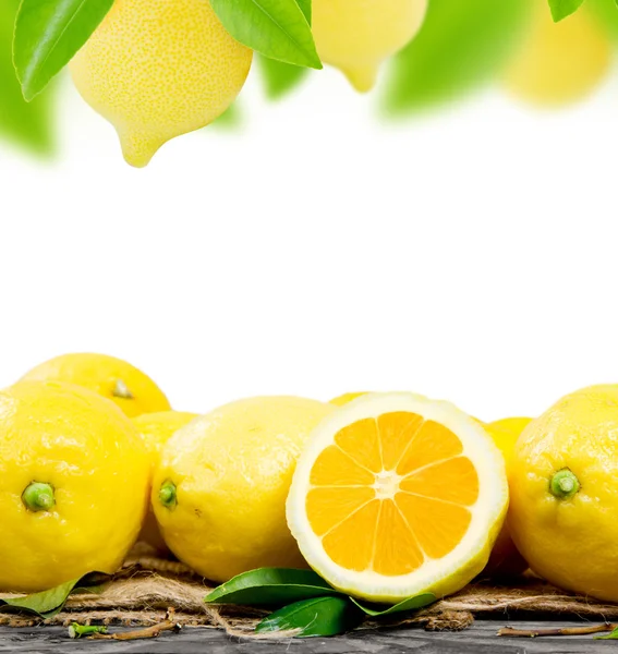 Lemons — Stock Photo, Image