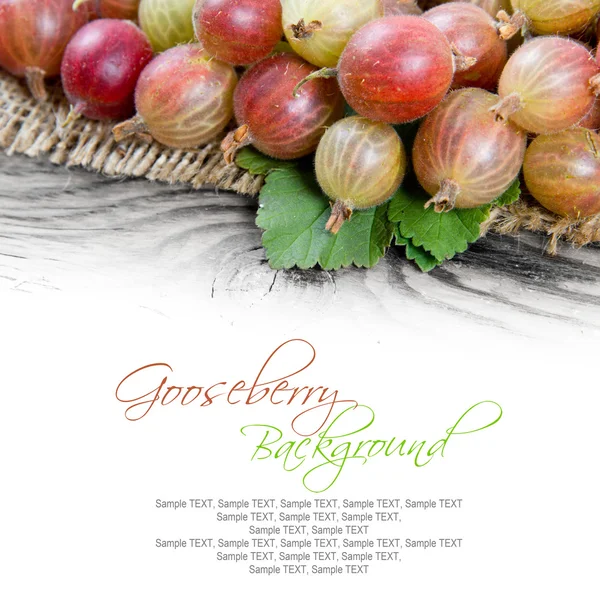 Gooseberry — Stock Photo, Image