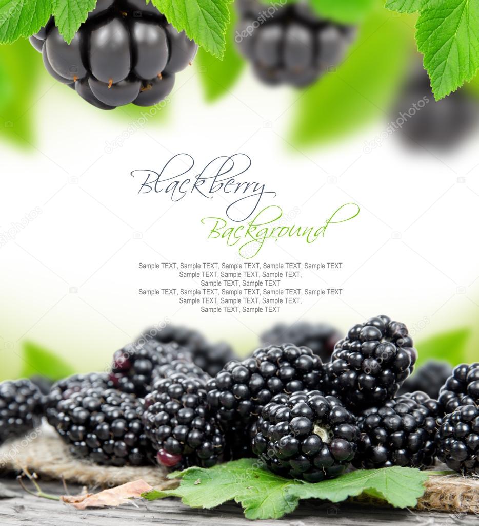 Blackberry