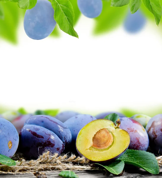 Plums — Stock Photo, Image