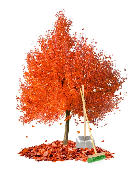 Herbstputz — Stockfoto