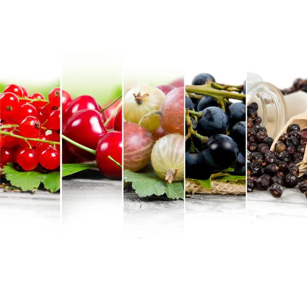 Berry mix Rebanadas —  Fotos de Stock