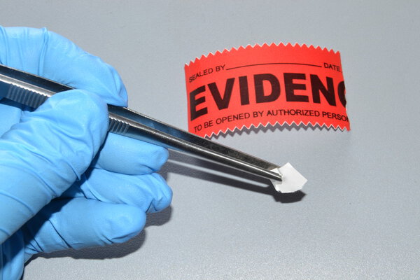 Следы судебной экспертизы
