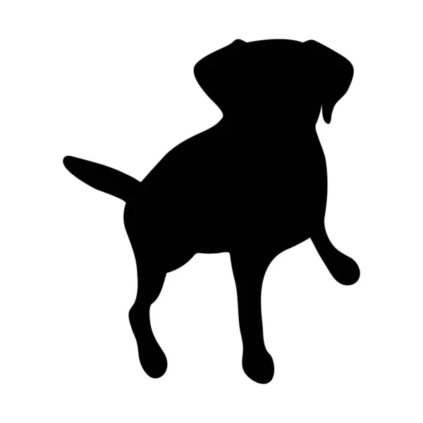 Beyaz Arka Planda Siyah Bir Köpek Silueti Vektör Illüstrasyonu — Stok Vektör