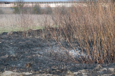İlkbaharda kuru cam yangınlarının sonuçları
