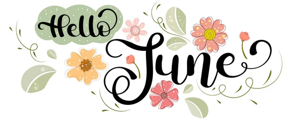 Hallo Juni Juni Monat Vektordekoration Mit Blumen Und Blättern Illustrationsmonat — Stockvektor