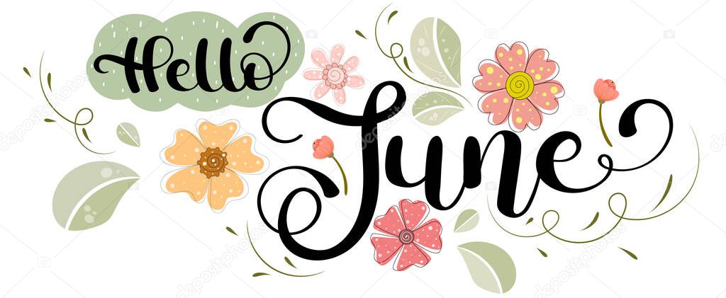Hello June. JUNE month vector decoration with flowers and leaves. Illustration month June