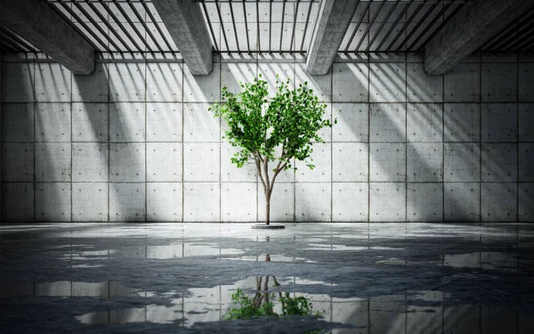 Illuminated Alone Tree Background Concrete Wall Reflections Wet Ground Abstract — Stock Photo, Image