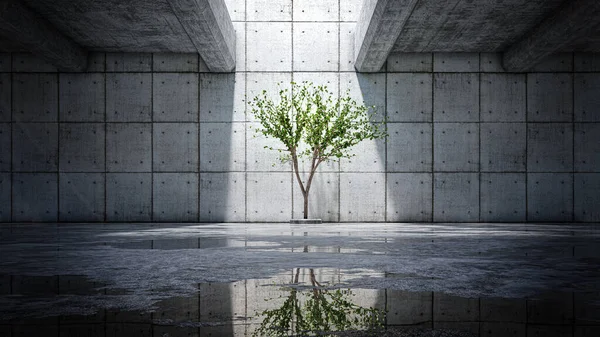 Освітлене Самотнє Дерево Фоні Бетонної Стіни Відображенням Вологому Ґрунті Абстрактне — стокове фото