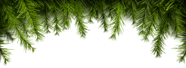 Üst kenar boyunca düzenlenmiş gerçekçi çam dallarından oluşan neşeli bir Noel sınırı altında şeffaf bir boşluk bırakıyor. Bayram kartları, tebrik kartları, afişler, posterler ve mevsimlik örtüler için mükemmel..