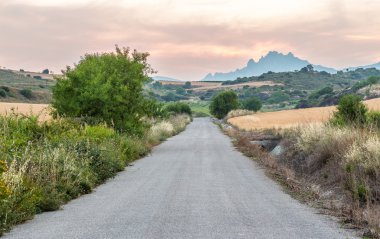 Yalnız bir ülke yolunda