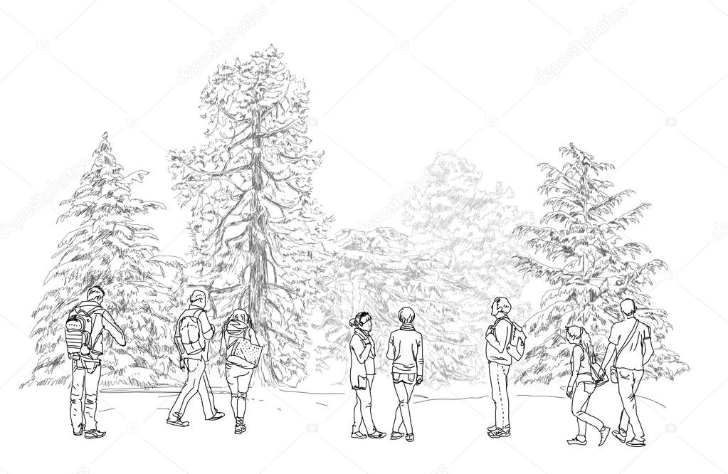 Trees, Oak, birch, fir, pine and people walking in park. Sketch collection