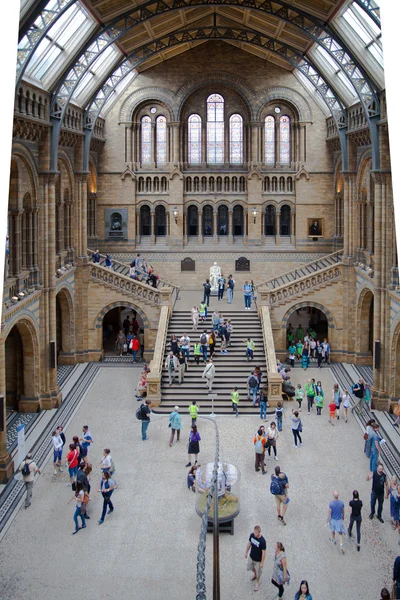 National History Museum, är en av de mest favorit museet för familjer i London. — Stockfoto