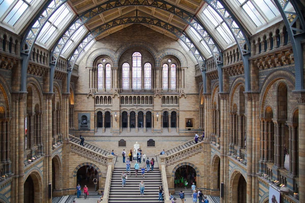 National History Museum, är en av de mest favorit museet för familjer i London. — Stockfoto