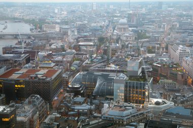 London City view ördek adlı