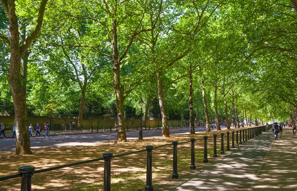 UK - JULY 29, 2014: Hyde park — Stock Photo, Image