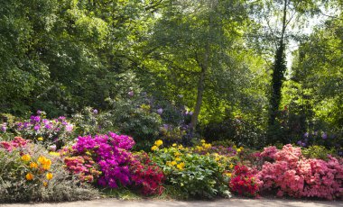 Bloom, Güney Londra eski İngiliz park