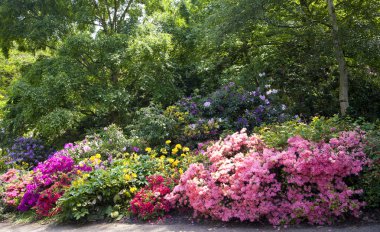 Bloom, Güney Londra eski İngiliz park