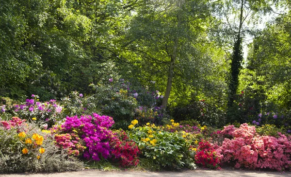 Vieux parc anglais en fleurs, au sud de Londres — Photo