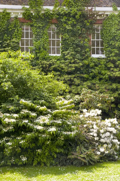 Vieux parc anglais en fleurs, au sud de Londres — Photo