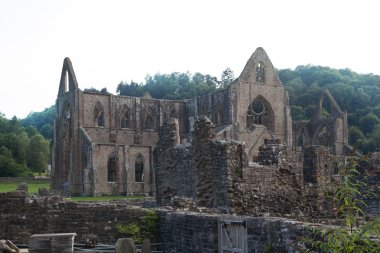 Wales, İngiltere - 26 Temmuz 2014: tintern abbey Katedrali mahveder. Abbey 1131 kurulmuştur. Henry VIII tarafından yok edildi. ünlü olarak 17the yüzyıldan kalma kalıntıları Galce..
