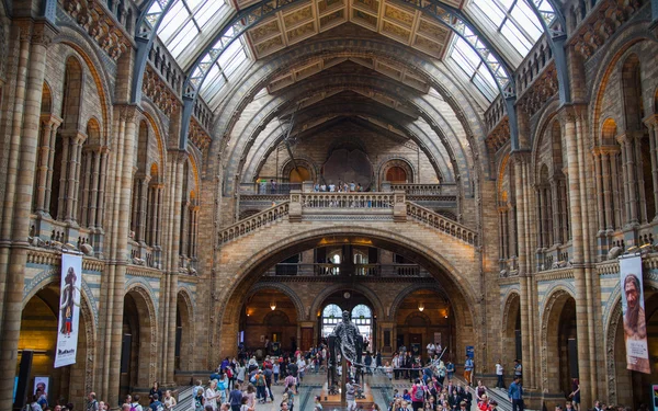 National History Museum, är en av de mest favorit museet för familjer i London. — Stockfoto