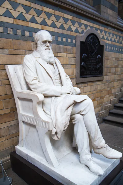 LONDRES, Reino Unido - 11 de agosto de 2014: El monumento a Charles Darwin en el Museo Nacional de Historia, es uno de los museos más favoritos para las familias en Londres . —  Fotos de Stock